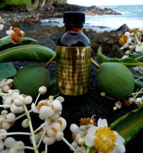 Tamanu Oil (Hawaiian: Kamani Oil)