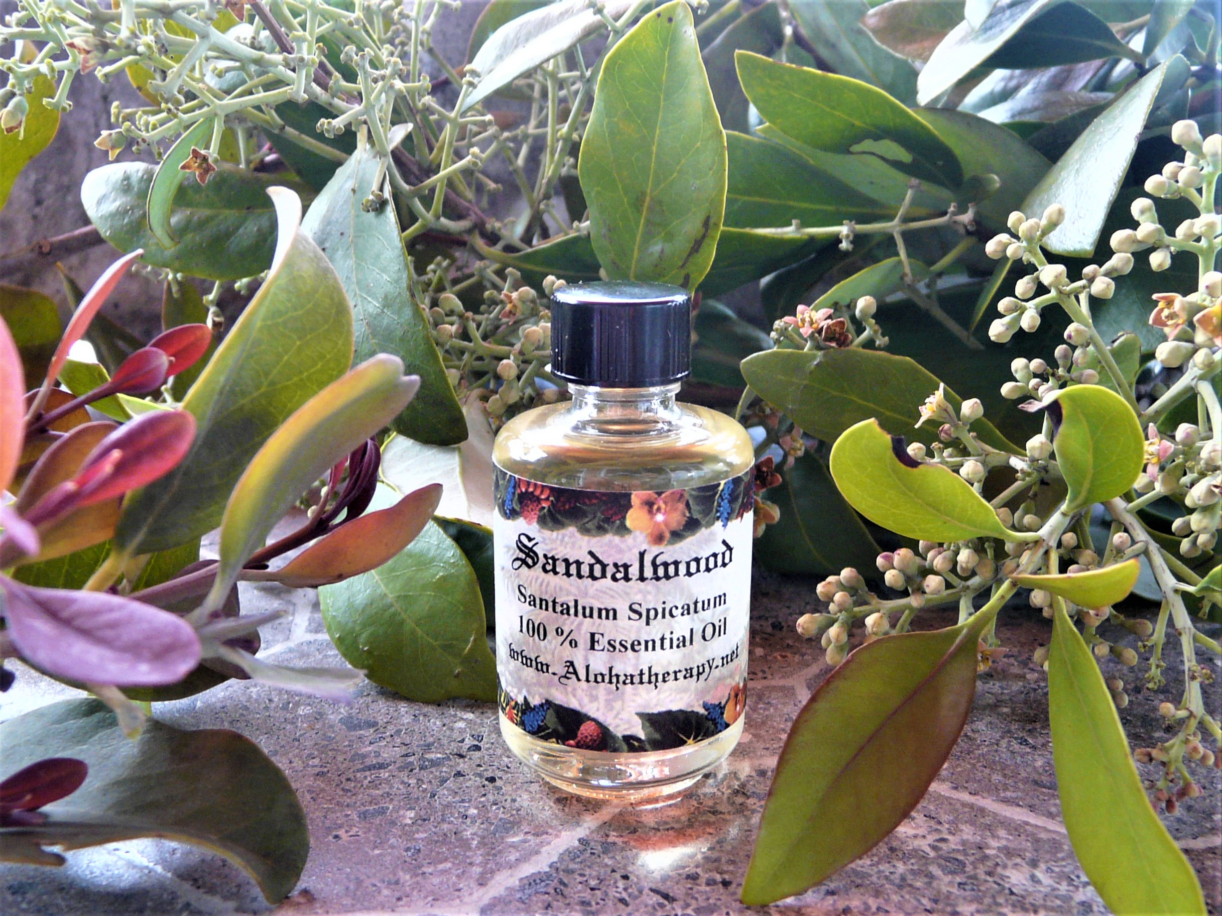 10ml (1/3oz) Sandalwood (Hawaiian, Santalum Paniculatum) Essential Oil - Undiluted, Uncut, All-Natural, Steam-Distilled