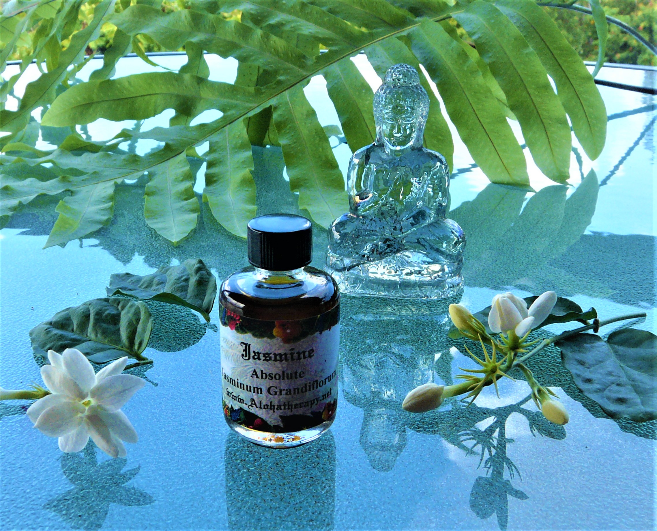 Jasmine Absolute Jasminum Grandiflorum Alohatherapy Alohatherapy jasmine-absolute-jasminum-grandiflorum-alohatherapy-alohatherapy