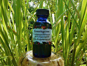 Lemongrass 1 oz bottle