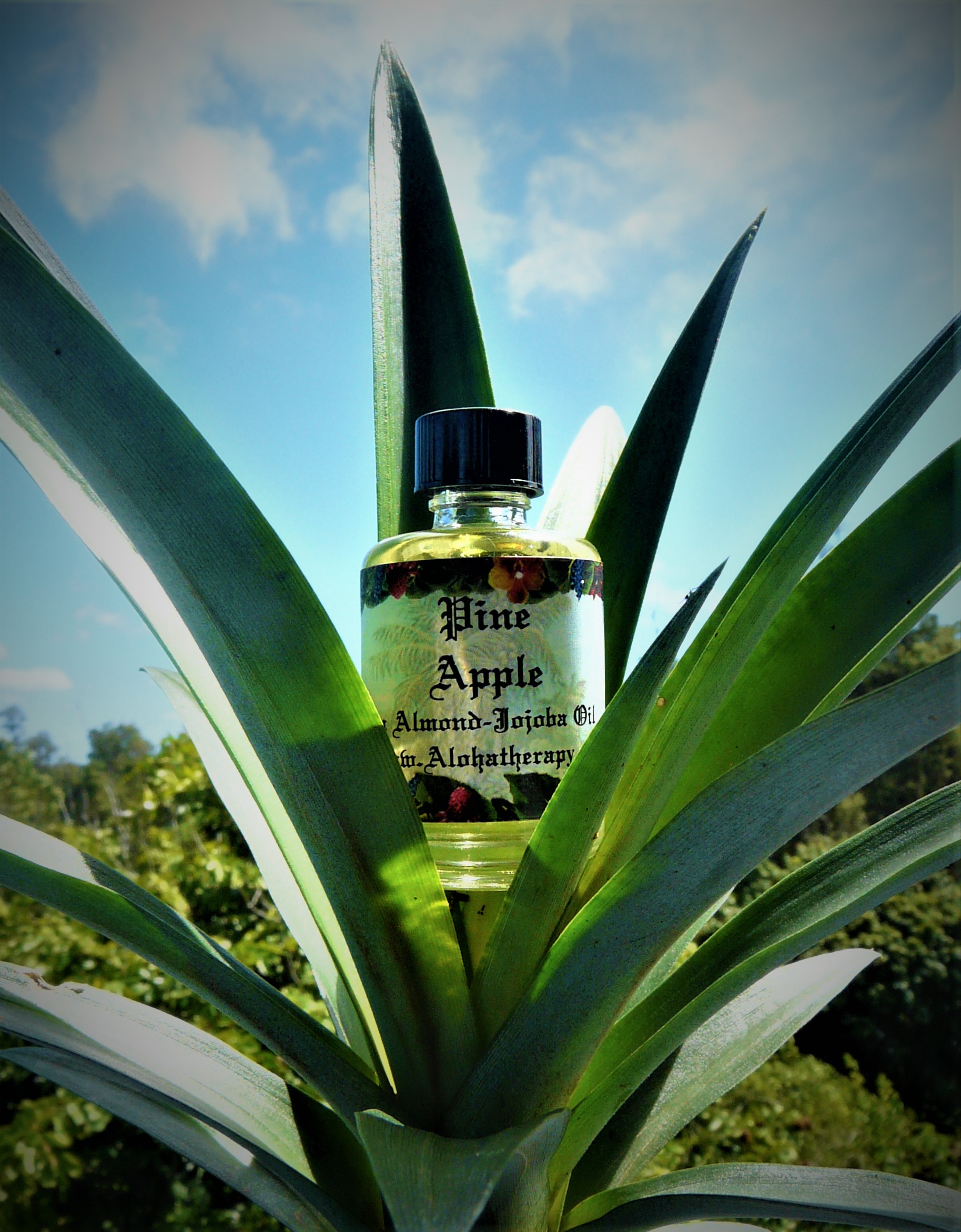 Pineapple | Alohatherapy