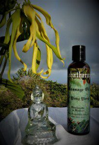 Ylang Ylang Massage Oil 2