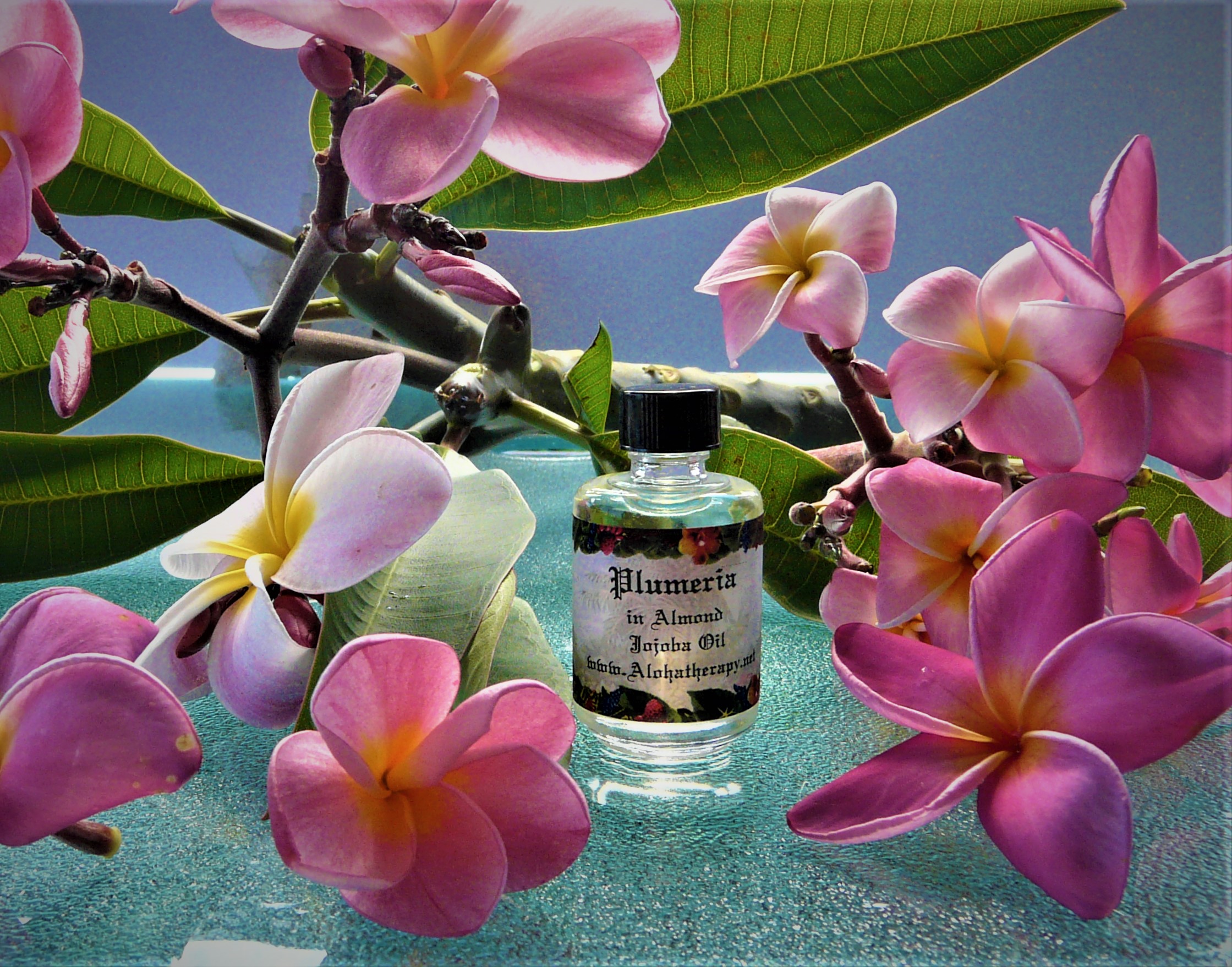 Plumeria Massage Oil, Bath & Body Oil - Alohatherapy